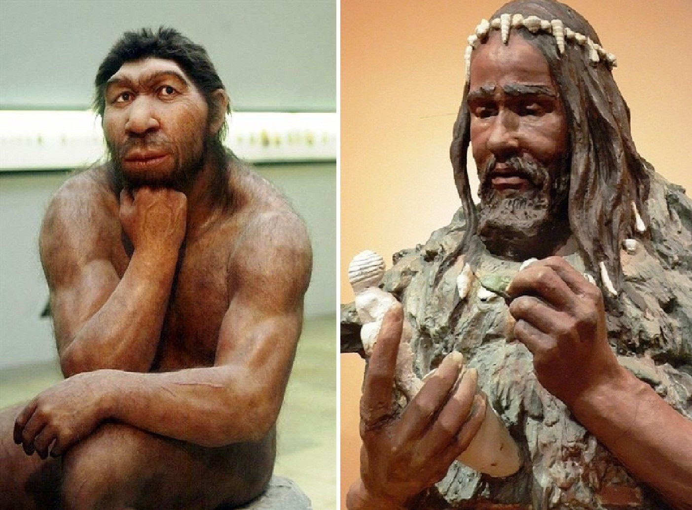 Ген неандертальца у современного человека фото